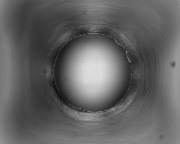 X0000102790044200808181310
