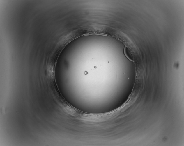 X0000102790045200808181310