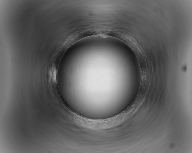 X0000102790046200808181310