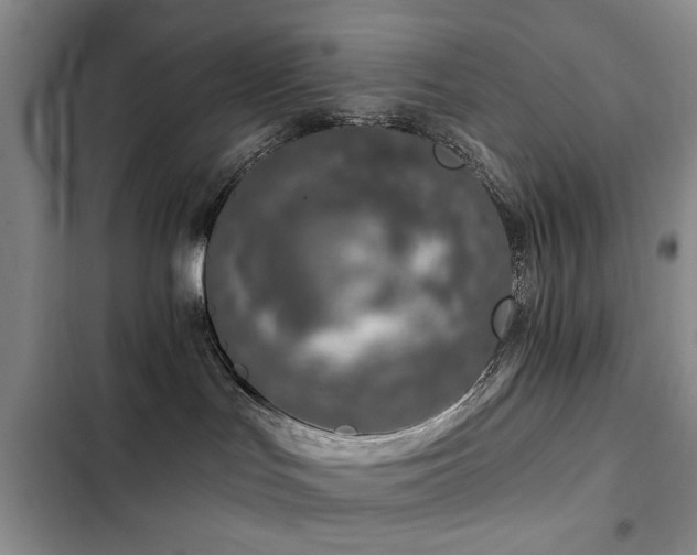 X0000102790047200808181310