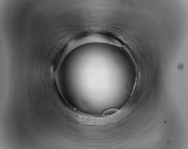 X0000102790048200808181310