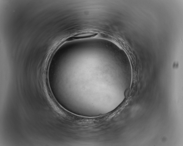 X0000102790049200808181310