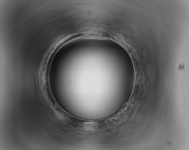 X0000102790050200808181310