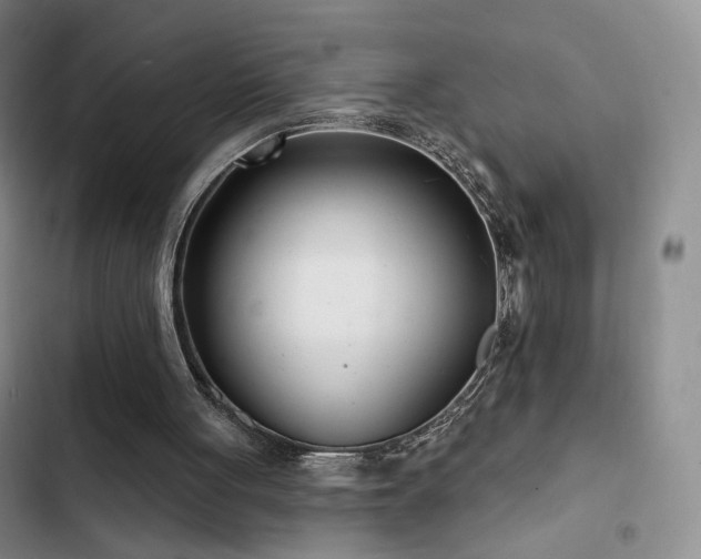 X0000102790051200808181310