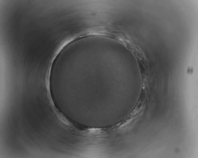 X0000102790052200808181310