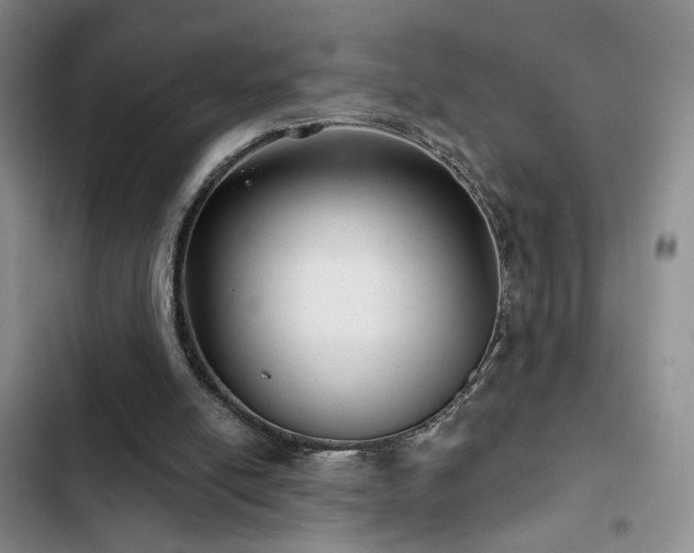 X0000102790054200808181310