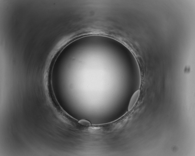 X0000102790055200808181310