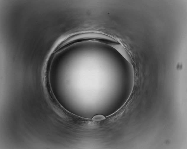 X0000102790056200808181310
