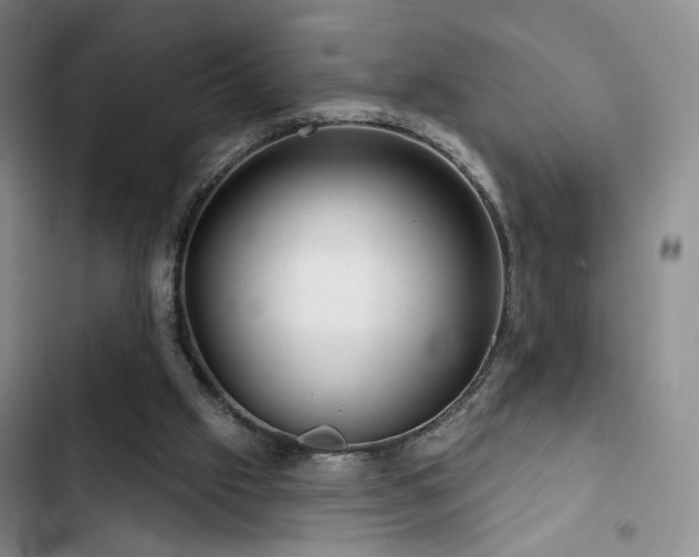 X0000102790057200808181310