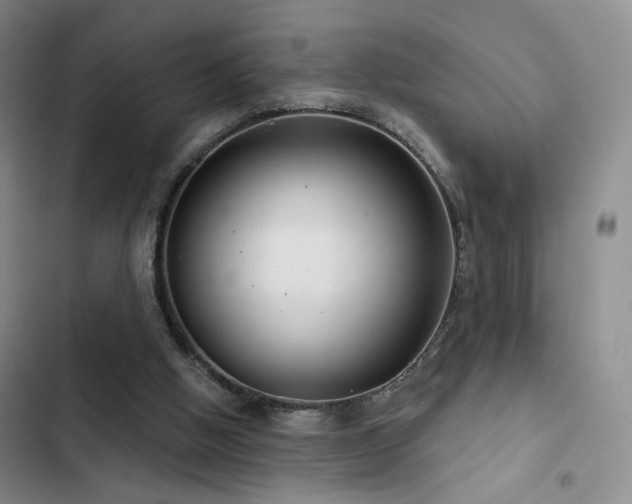 X0000102790058200808181310
