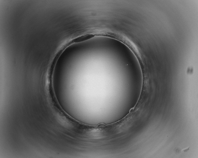 X0000102790059200808181310