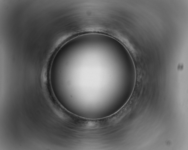 X0000102790060200808181310