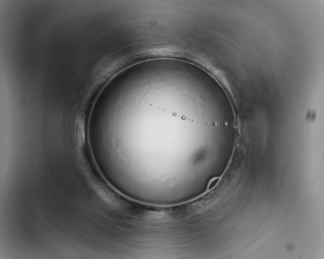 X0000102790061200808181310