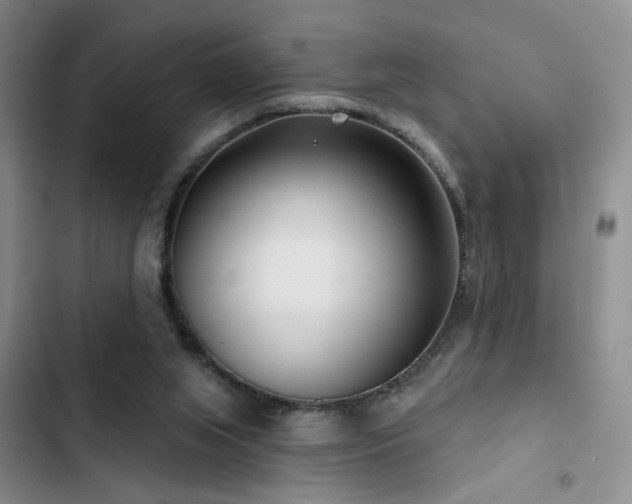 X0000102790063200808181310