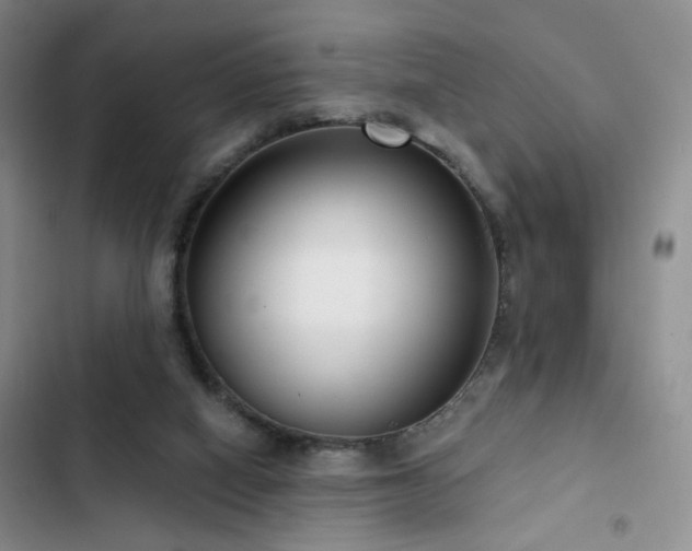 X0000102790066200808181310