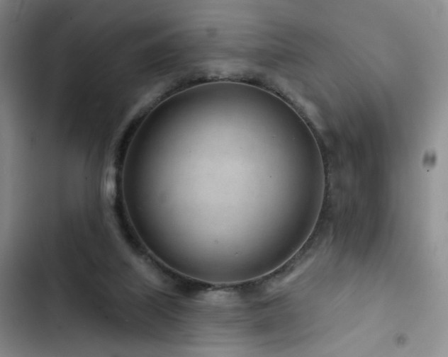X0000102790067200808181310