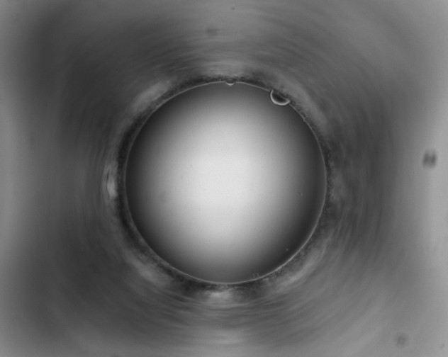 X0000102790068200808181310