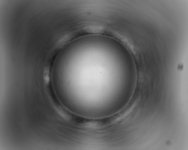 X0000102790069200808181310