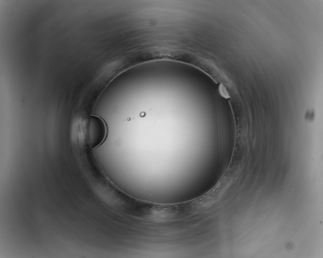 X0000102790070200808181310