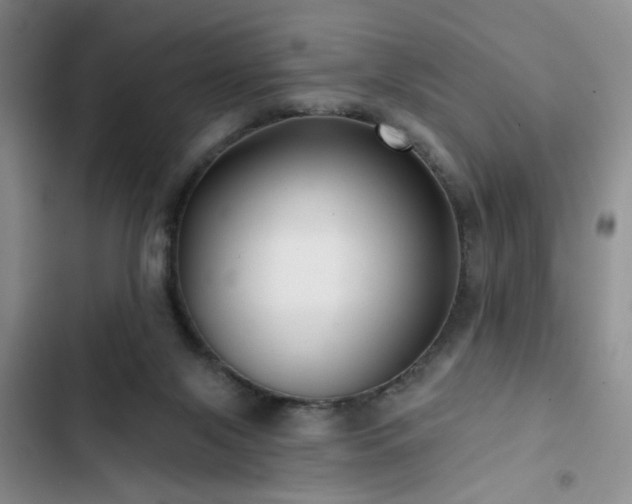 X0000102790071200808181310