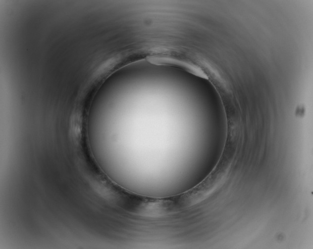 X0000102790072200808181310