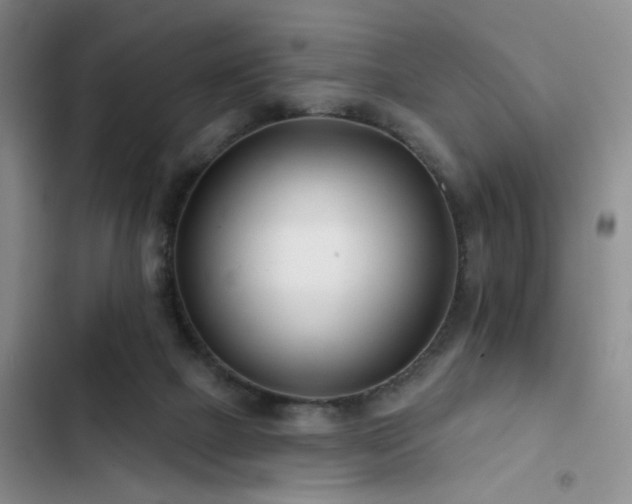 X0000102790073200808181310