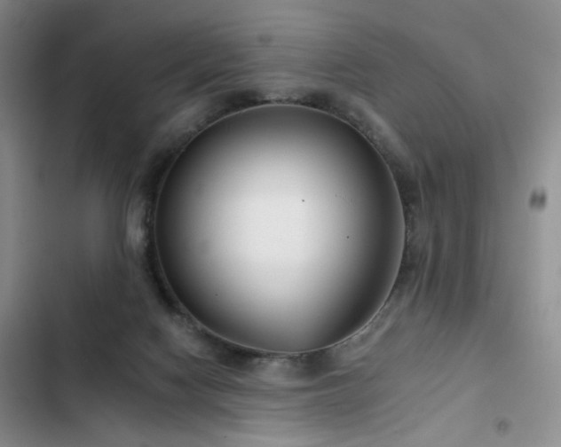 X0000102790074200808181310