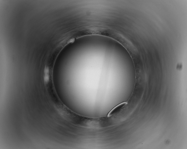 X0000102790075200808181310