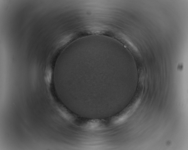 X0000102790076200808181310