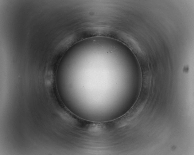 X0000102790077200808181310