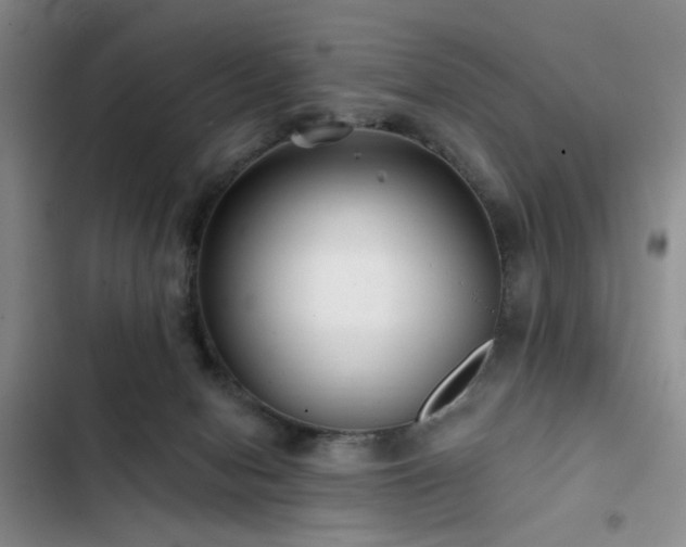 X0000102790078200808181310