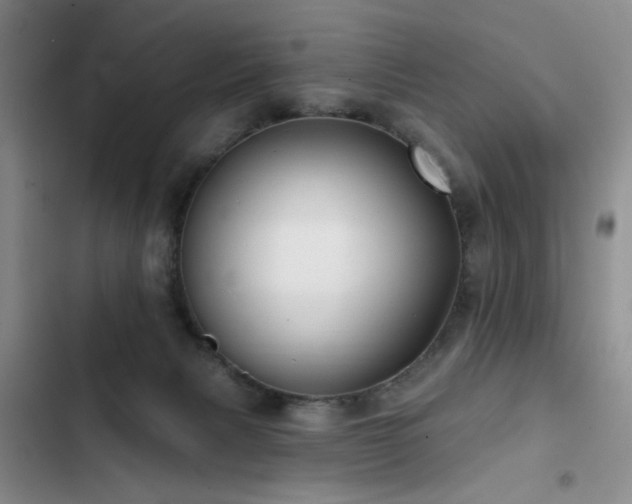 X0000102790079200808181310