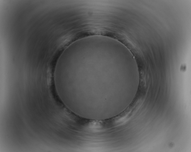 X0000102790080200808181310