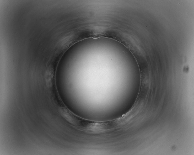 X0000102790082200808181310