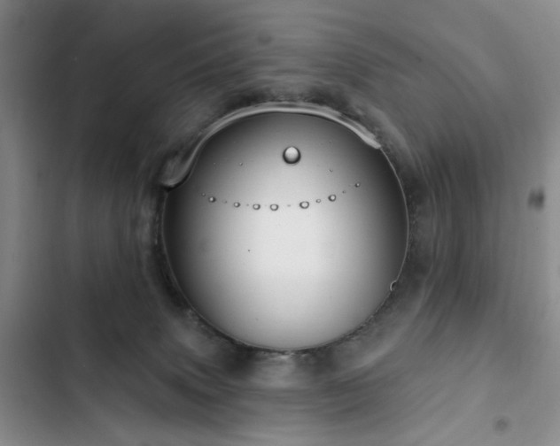 X0000102790083200808181310