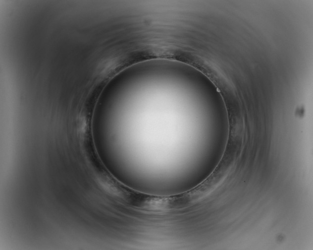 X0000102790084200808181310