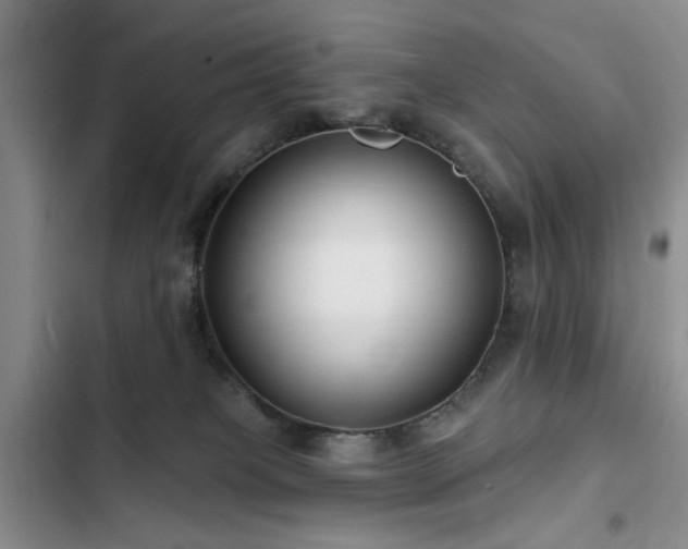 X0000102790085200808181310
