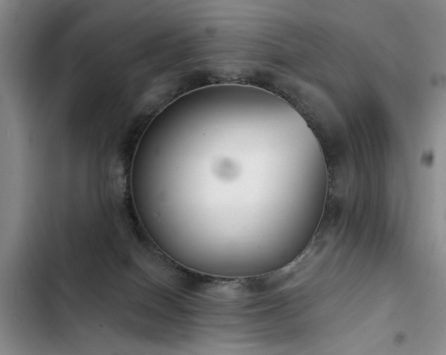 X0000102790086200808181310