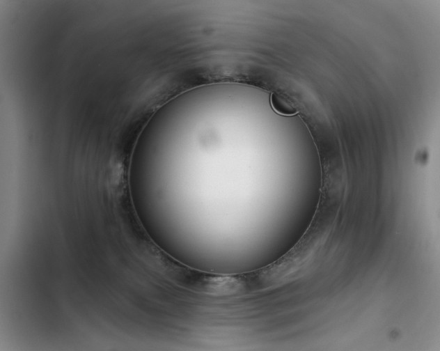 X0000102790087200808181310