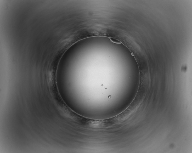 X0000102790088200808181310