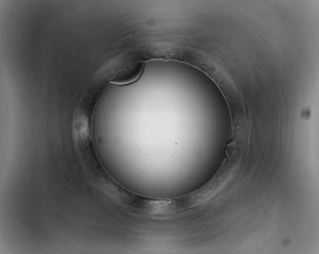 X0000102790089200808181310