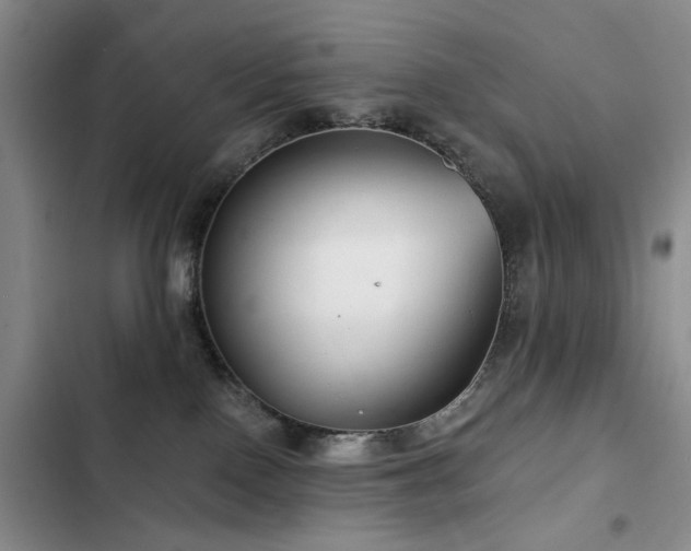 X0000102790090200808181310
