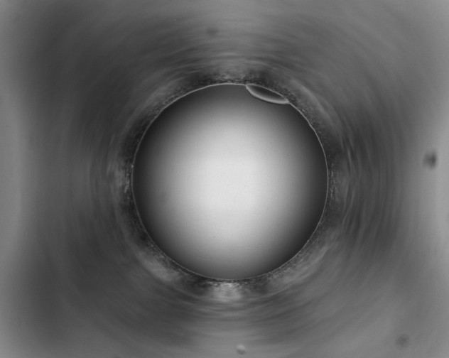 X0000102790091200808181310