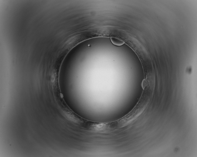 X0000102790092200808181310