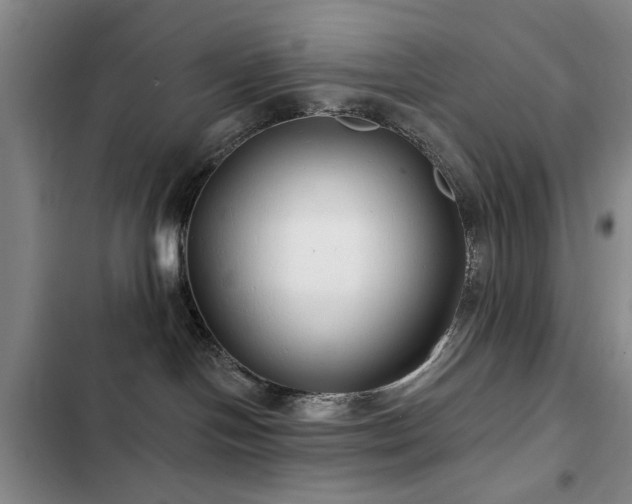 X0000102790094200808181310