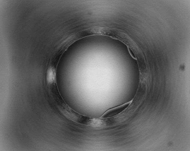 X0000102790095200808181310