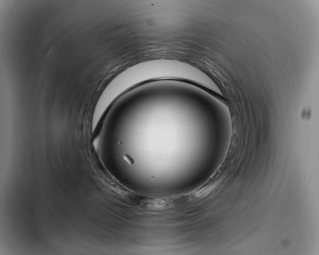 X0000102790096200808181310