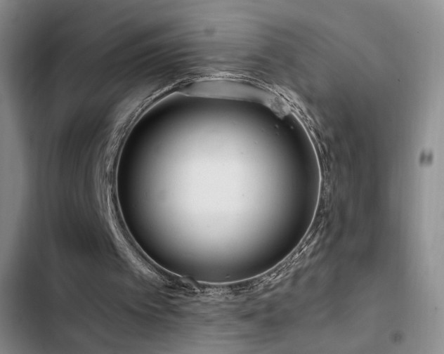 X0000102790097200808181310