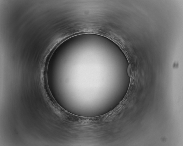 X0000102790098200808181310