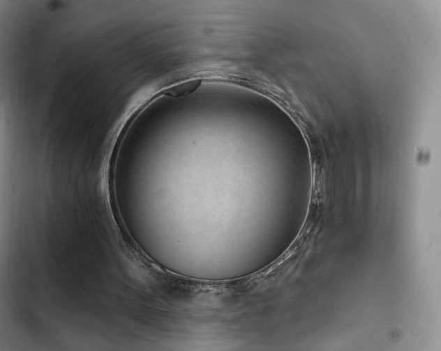X0000102790099200808181310